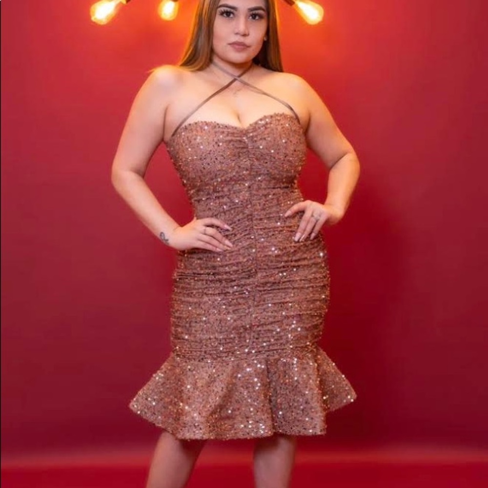 Rose Gold Sequin Dress